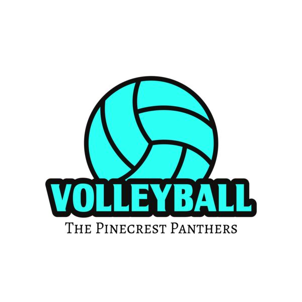 Volleyball 37 Miniatura